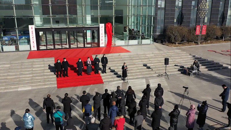 三维动画材质贴图：揭秘软件功能差异与选择要点