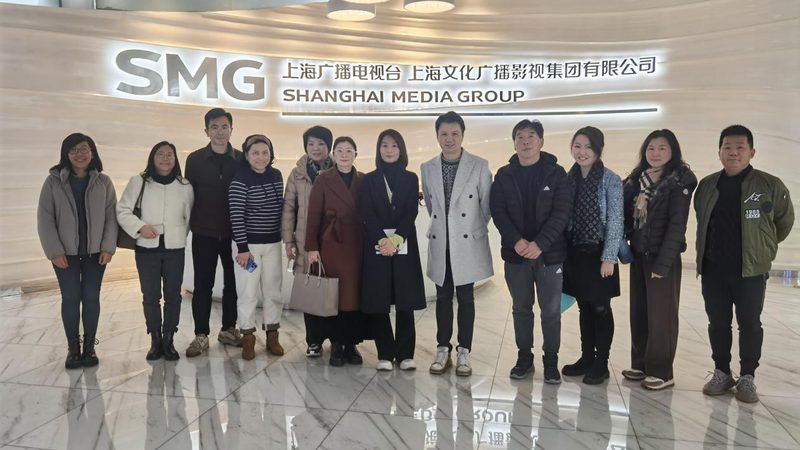 以某知名企业为例，该企业在选择品牌策划公司时，对比了以下几家：